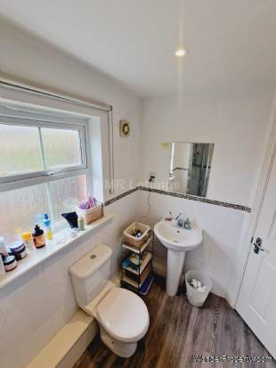 Additional Property Image 5 bedroom Town House to rent in Durham 9