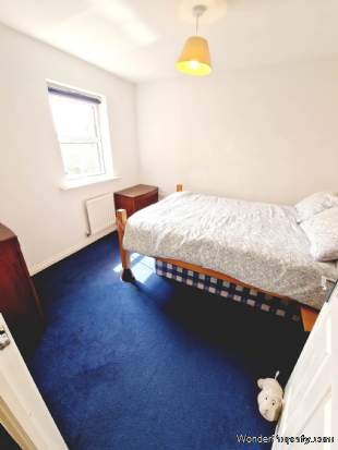 Additional Property Image 5 bedroom Town House to rent in Durham 10