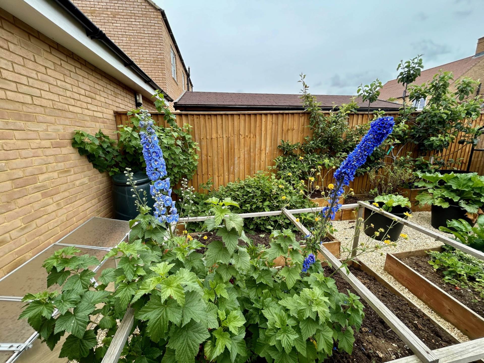 Additional Property Image 4 bedroom Detached to rent in Banbury 16