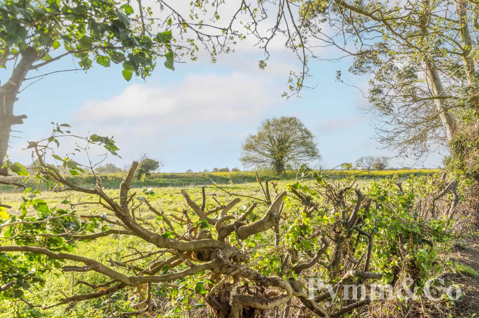 Additional Property Image 2 bedroom Bungalow for sale in Norwich 10