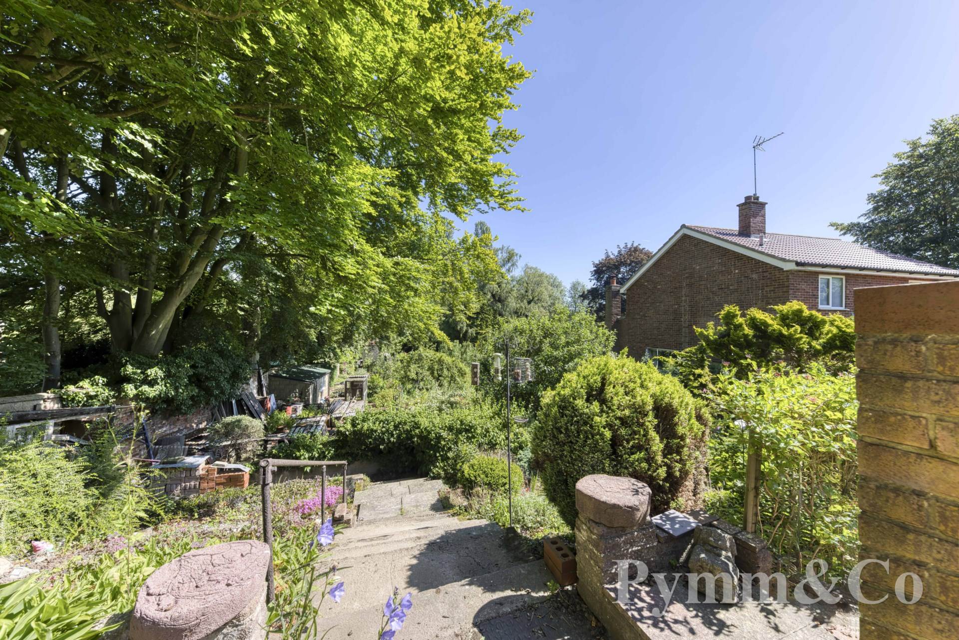 Additional Property Image 3 bedroom Detached for sale in Norwich 12