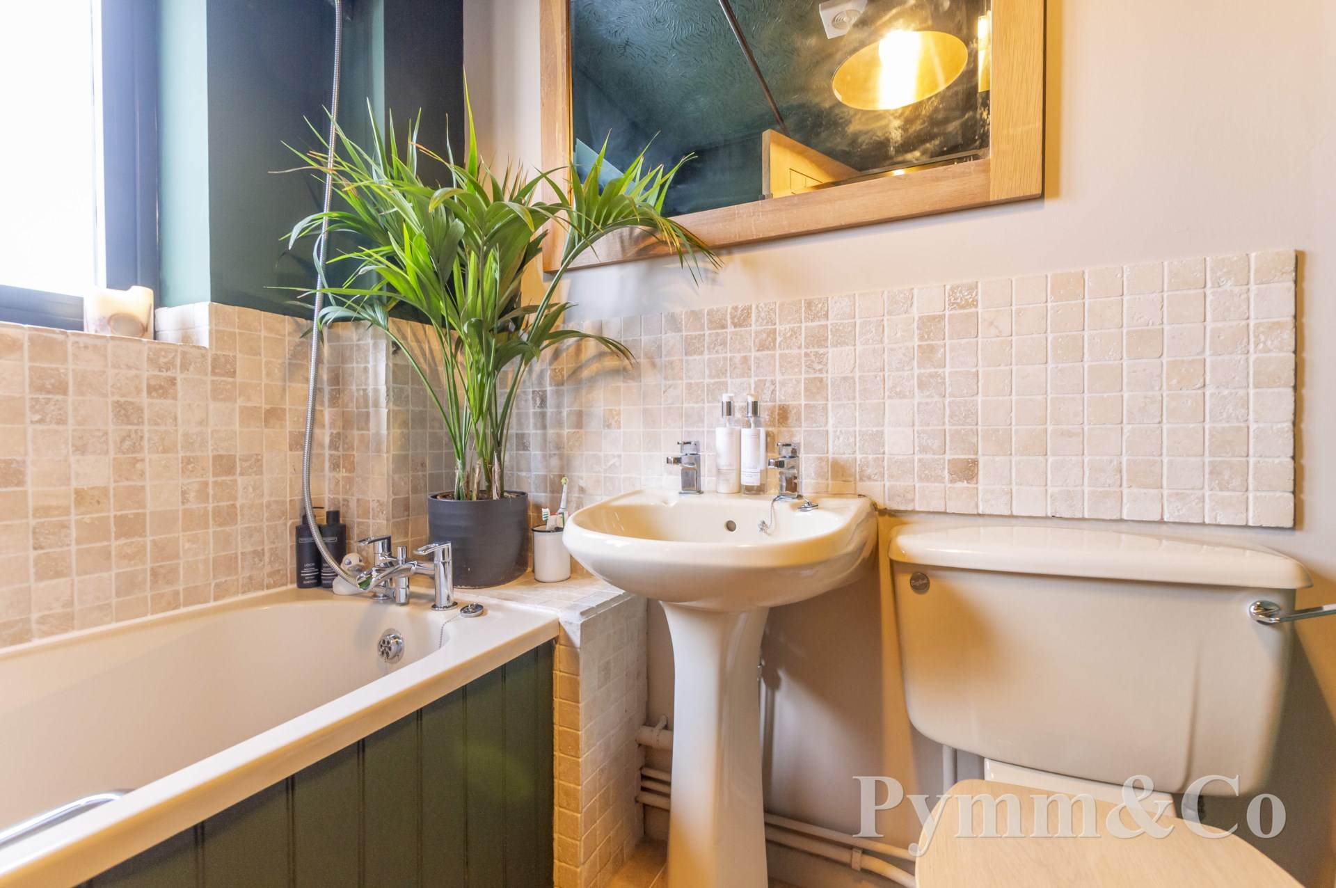 Additional Property Image 1 bedroom Terraced for sale in Norwich 5