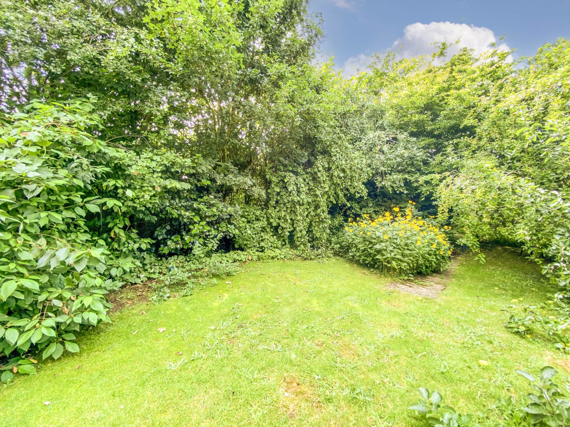 Additional Property Image 4 bedroom Detached for sale in Norwich 2