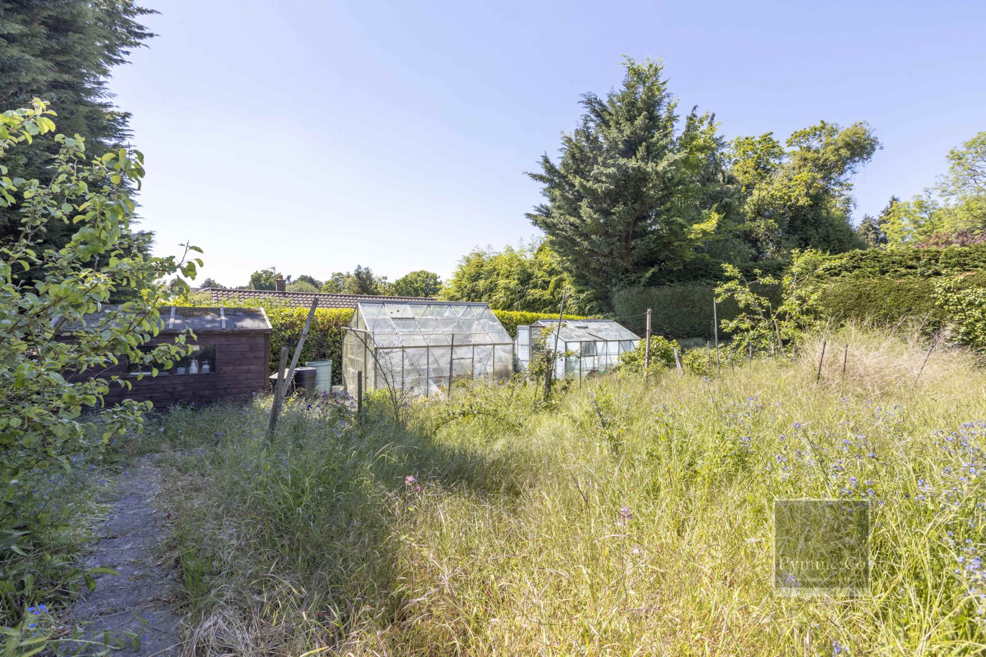 Additional Property Image 5 bedroom Detached Bungalow for sale in Norwich 14