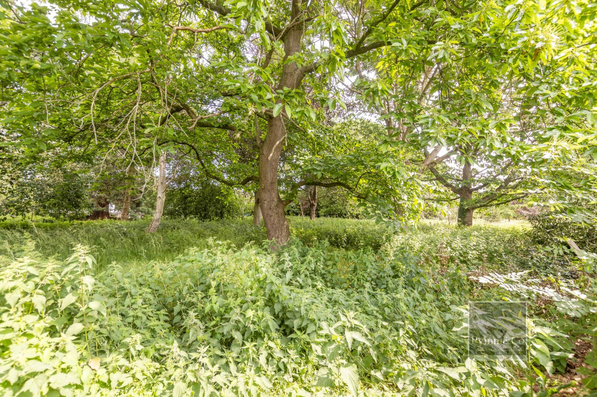 Additional Property Image 3 bedroom Semi Detached for sale in Norwich 13