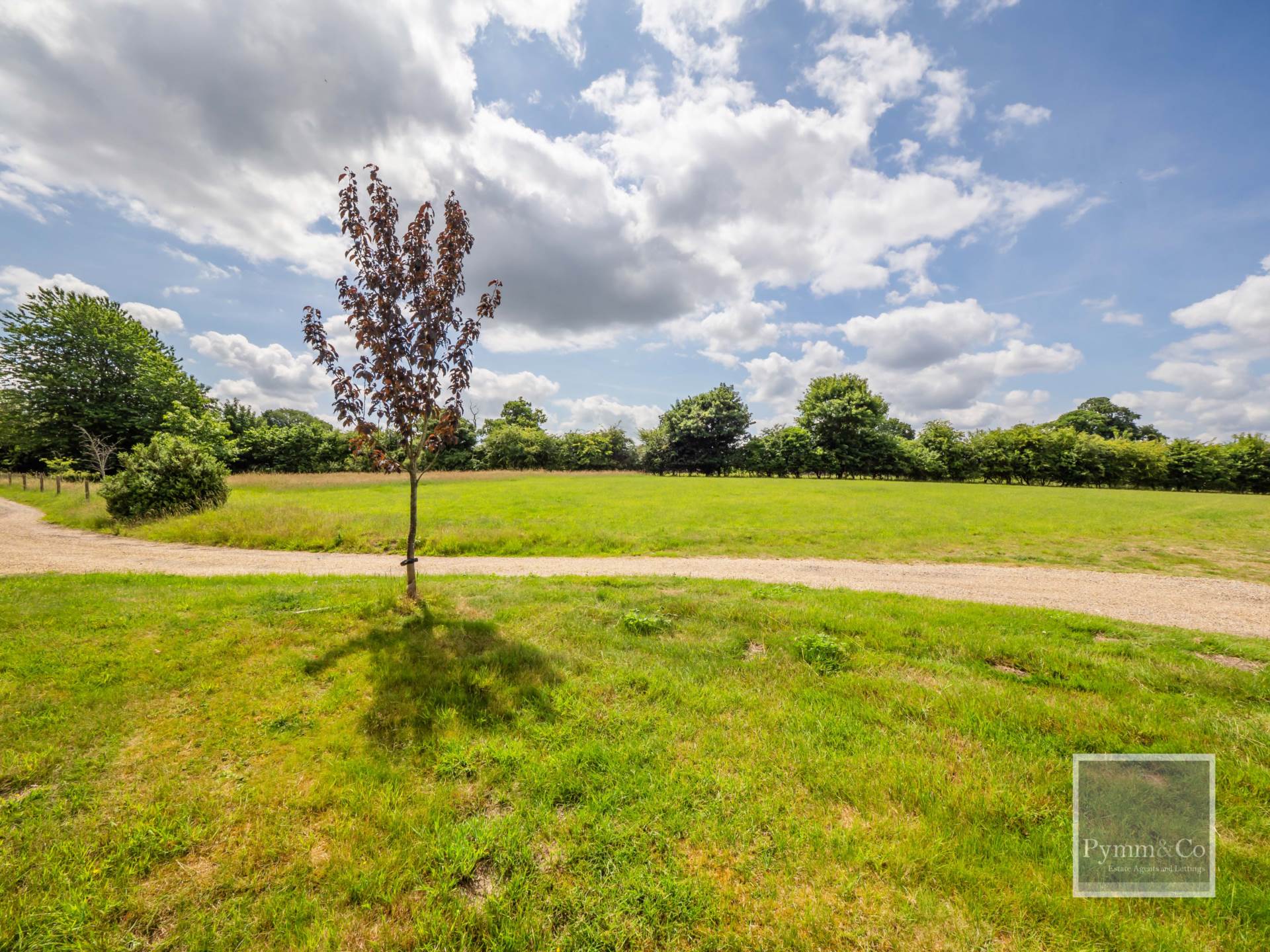 Additional Property Image 4 bedroom Detached for sale in Norwich 19
