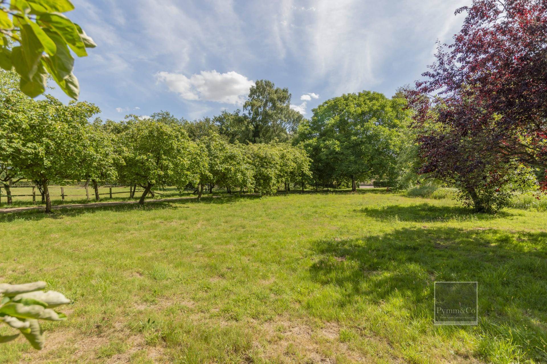 Additional Property Image 5 bedroom Detached for sale in Norwich 27