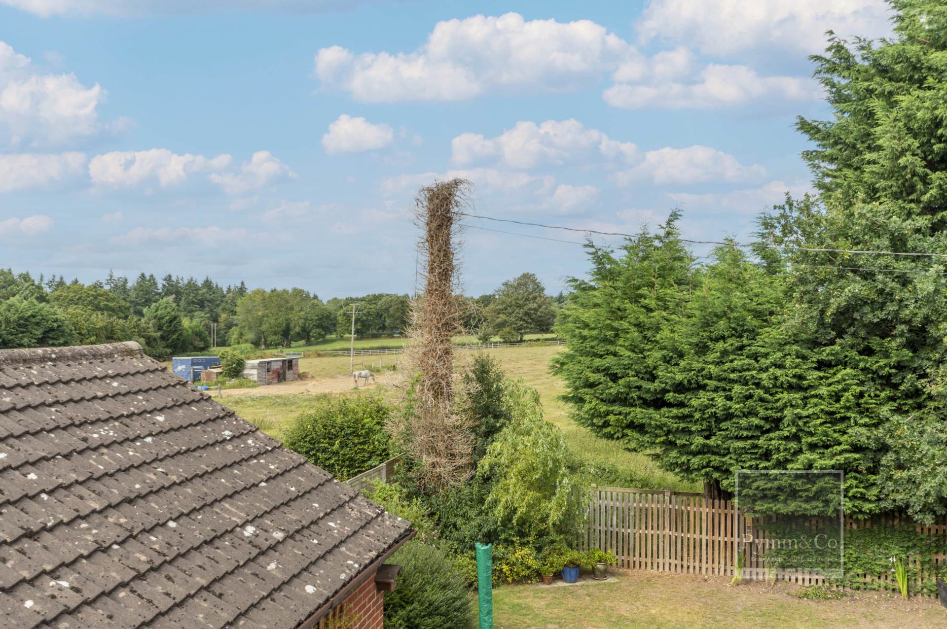 Additional Property Image 4 bedroom Detached for sale in Norwich 15