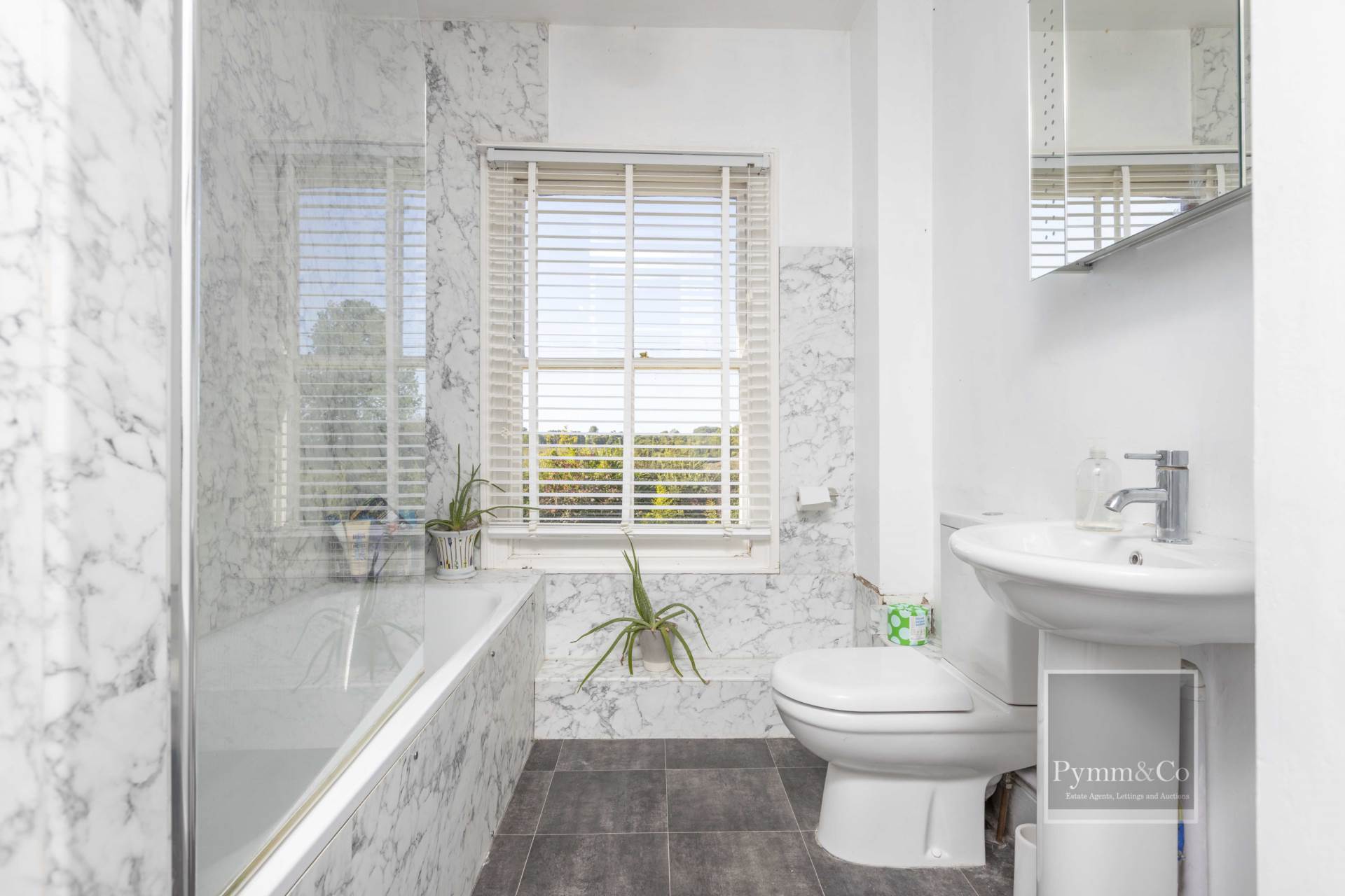 Additional Property Image 6 bedroom Detached for sale in Norwich 20