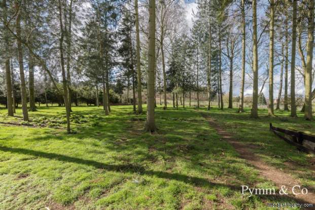 Additional Property Image 7 bedroom Detached for sale in Norwich 8