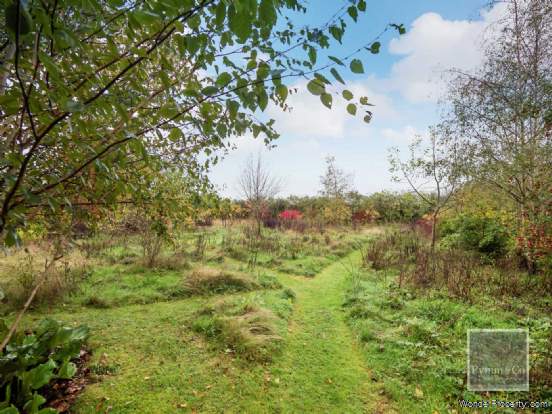 Additional Property Image 5 bedroom Detached for sale in Norwich 17