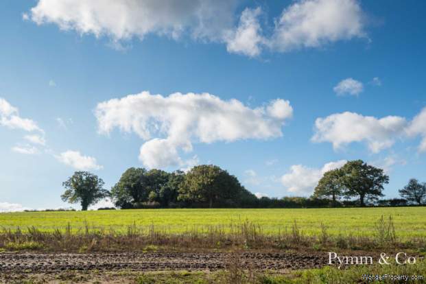 Additional Property Image 4 bedroom Detached Bungalow for sale in Norwich 4