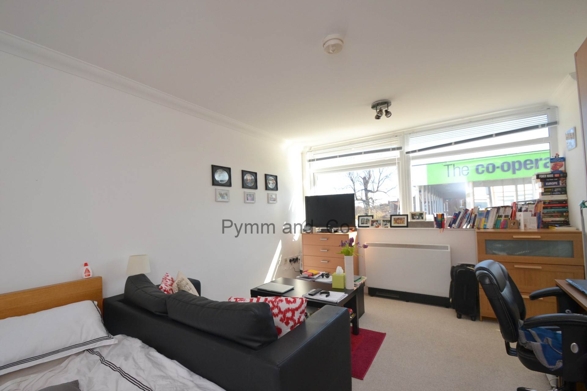 Additional Property Image 1 bedroom Studio to rent in Norwich 6