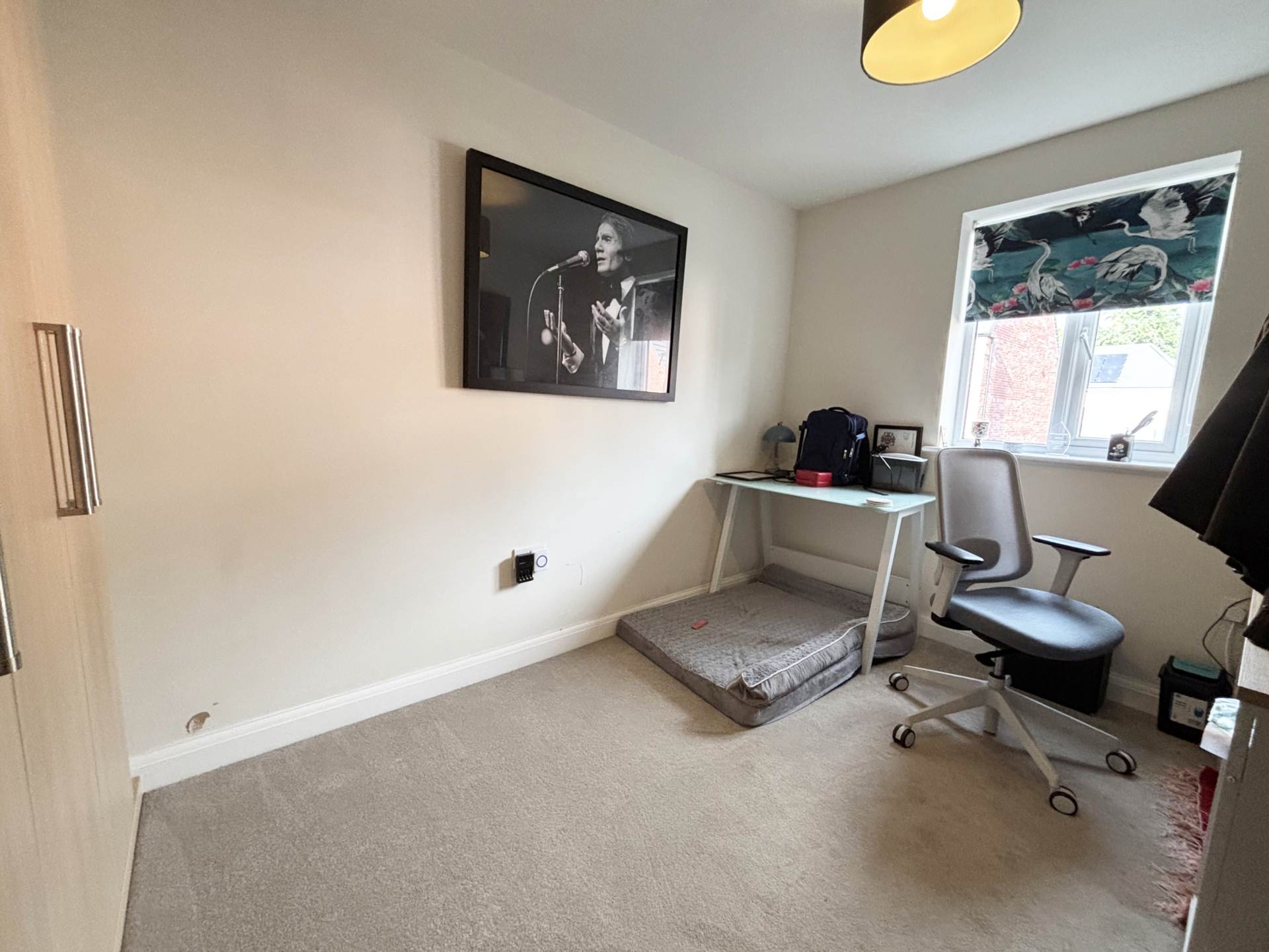 Additional Property Image 3 bedroom Semi Detached to rent in Norwich 8