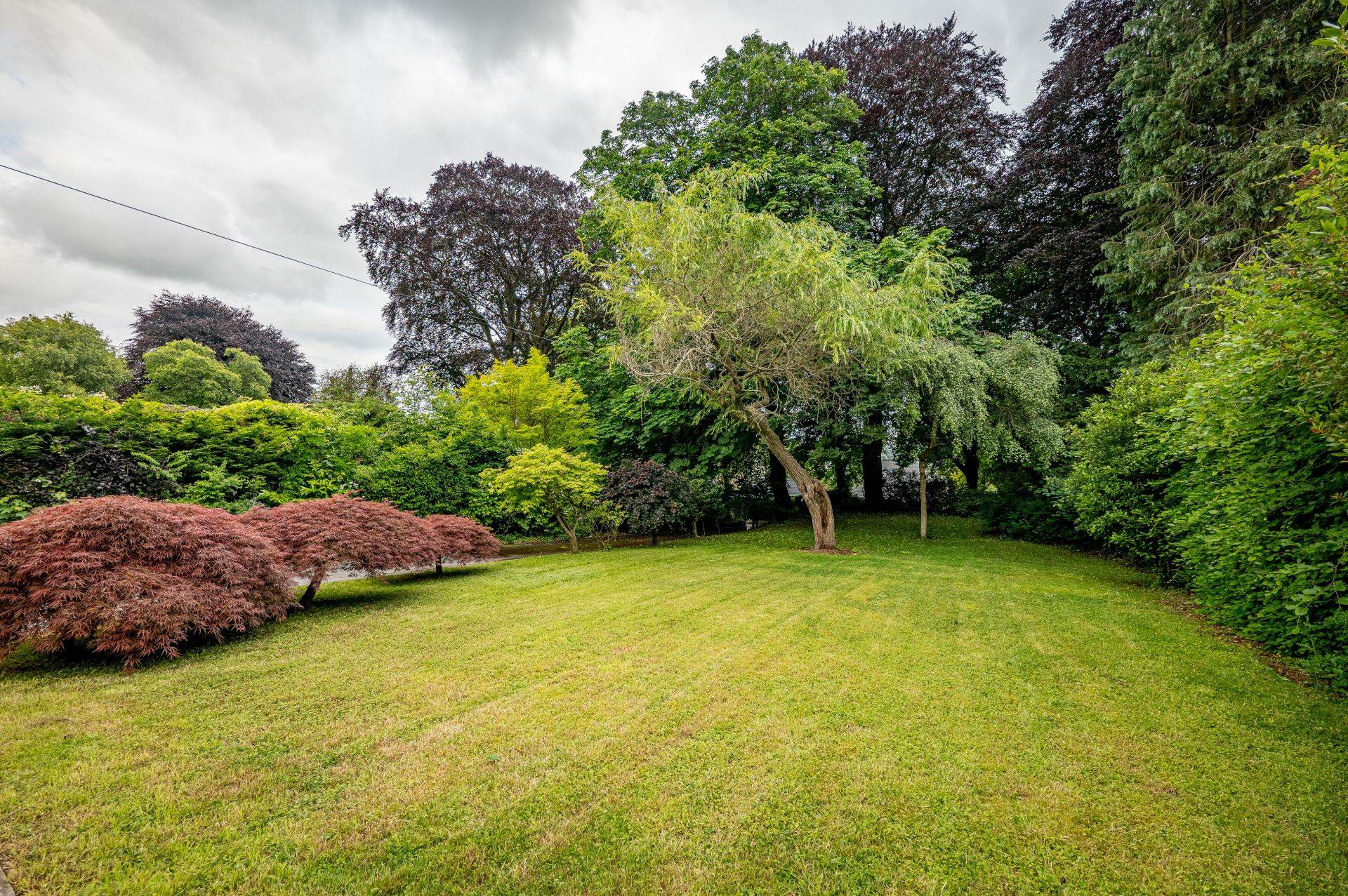 Additional Property Image 5 bedroom House to rent in Bath 24