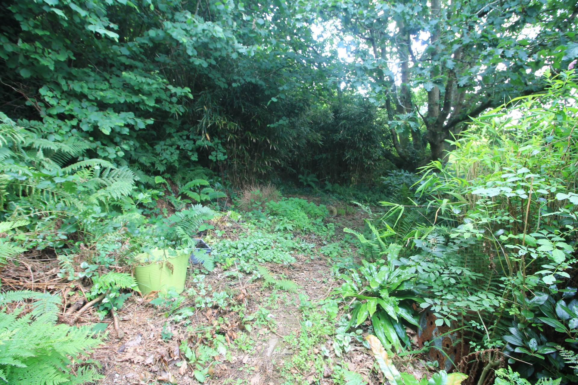 Additional Property Image 3 bedroom Detached Bungalow for sale in Looe 17