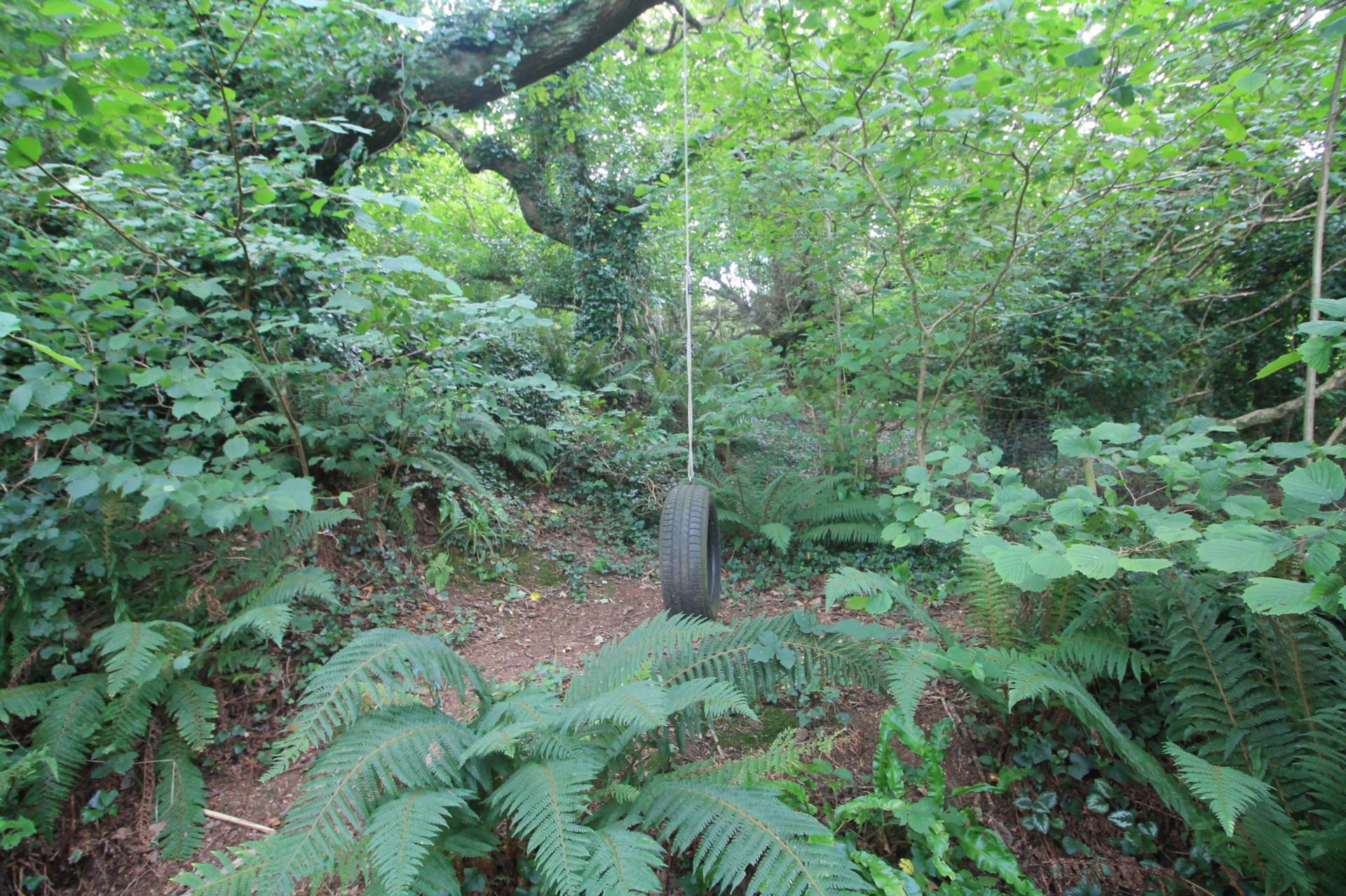 Additional Property Image 3 bedroom Detached Bungalow for sale in Looe 20