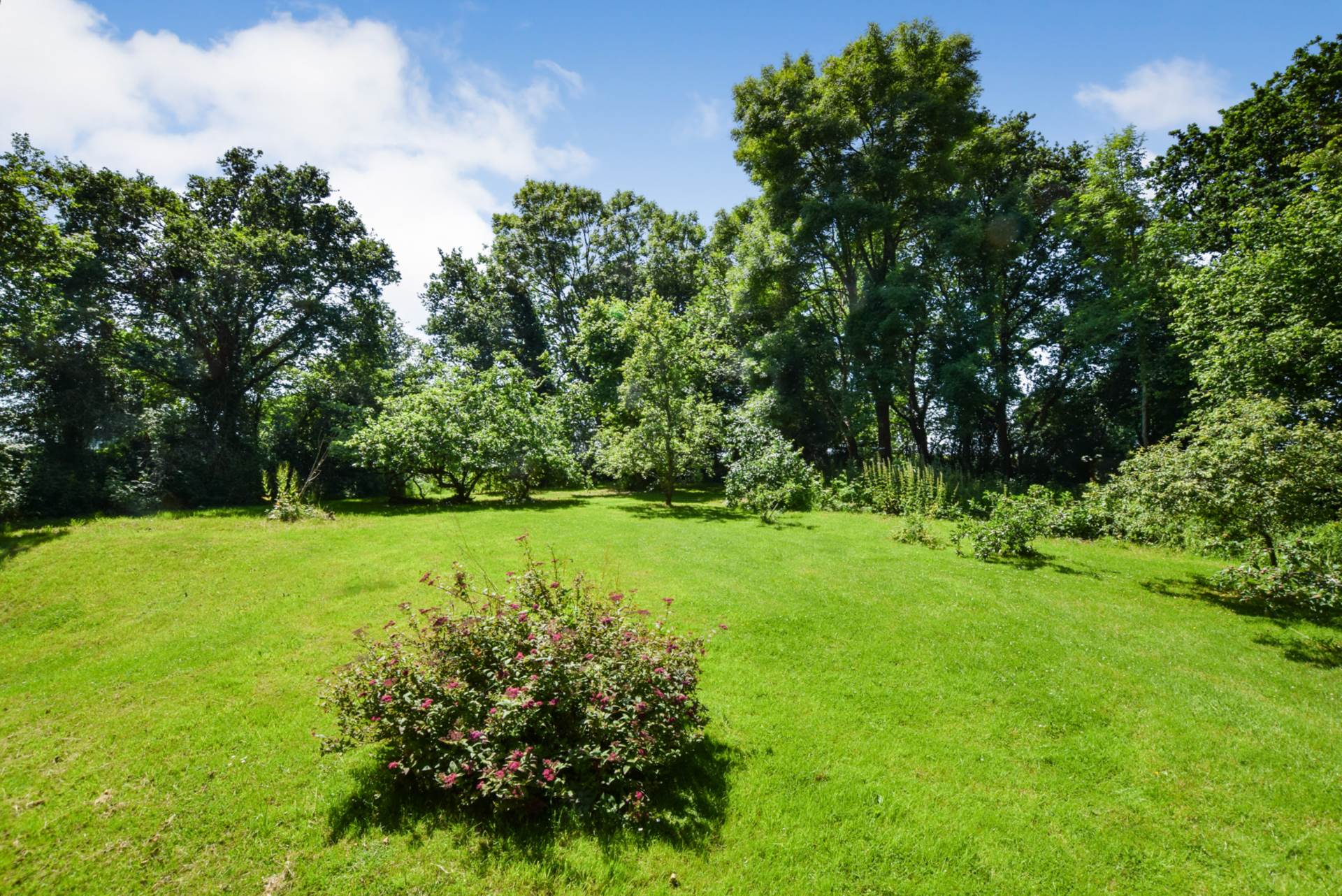 Additional Property Image 4 bedroom Detached for sale in Crediton 14
