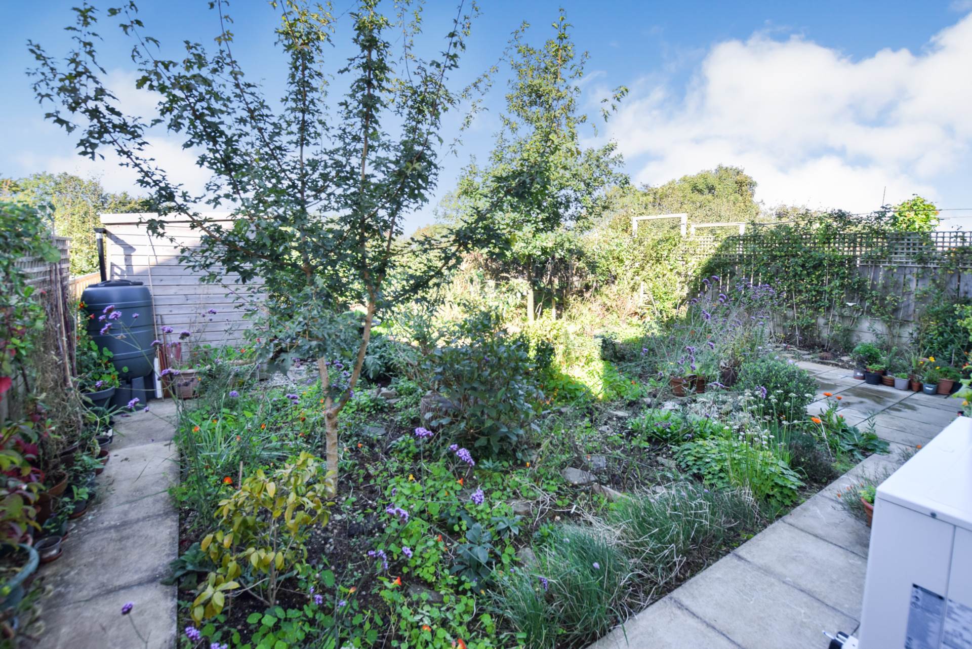 Additional Property Image 4 bedroom Detached for sale in Okehampton 22