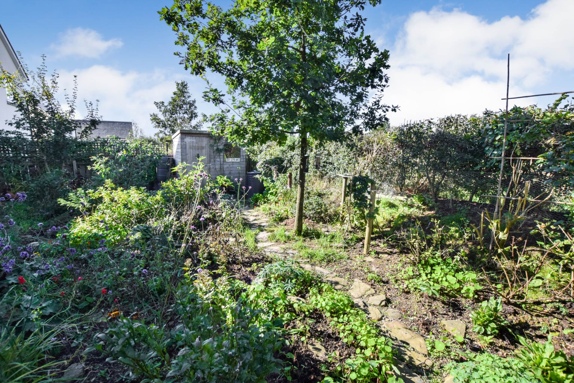 Additional Property Image 4 bedroom Detached for sale in Okehampton 23