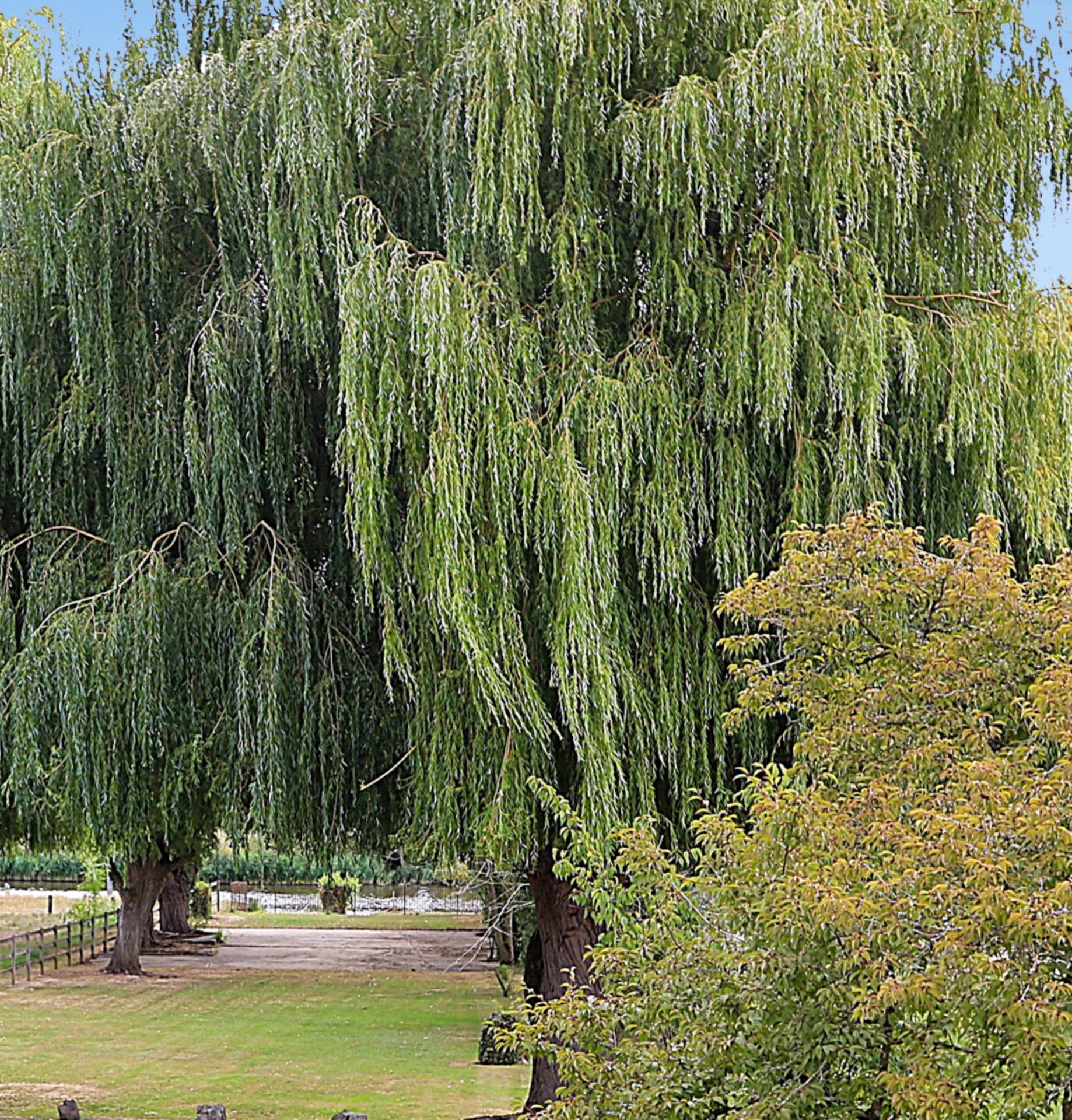 Additional Property Image 4 bedroom Detached for sale in Wallingford 19