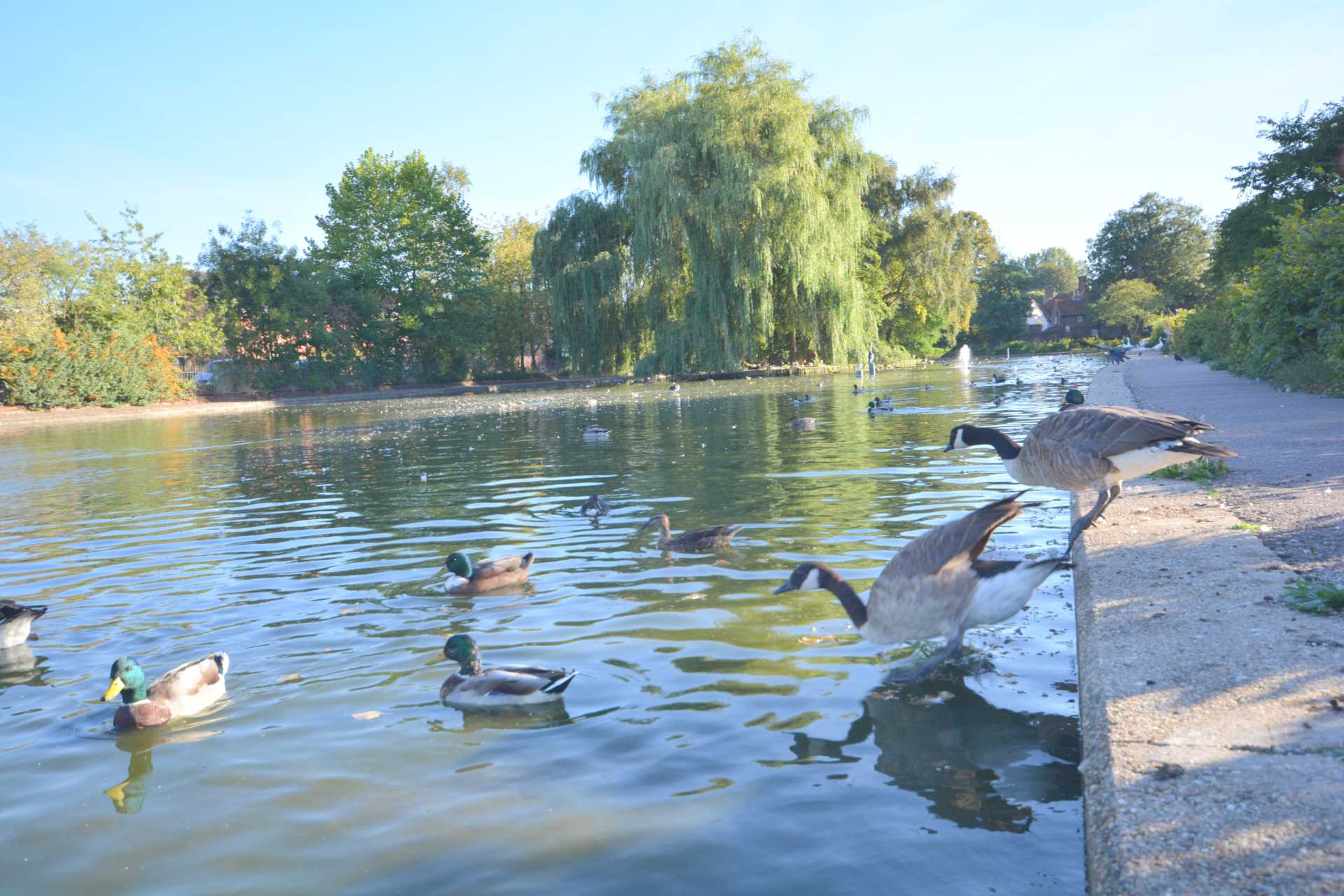 Additional Property Image 1 bedroom Apartment for sale in Chesham 12