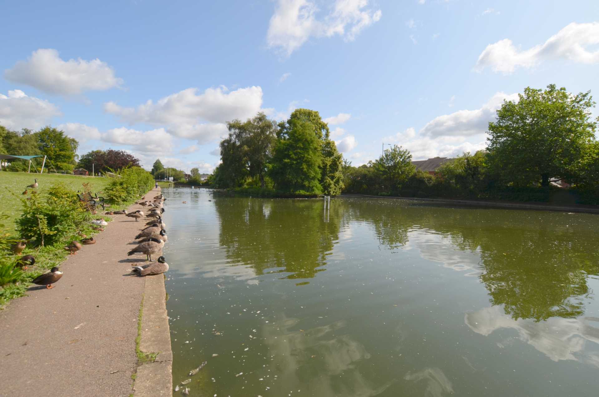Additional Property Image 1 bedroom Apartment to rent in Chesham 9