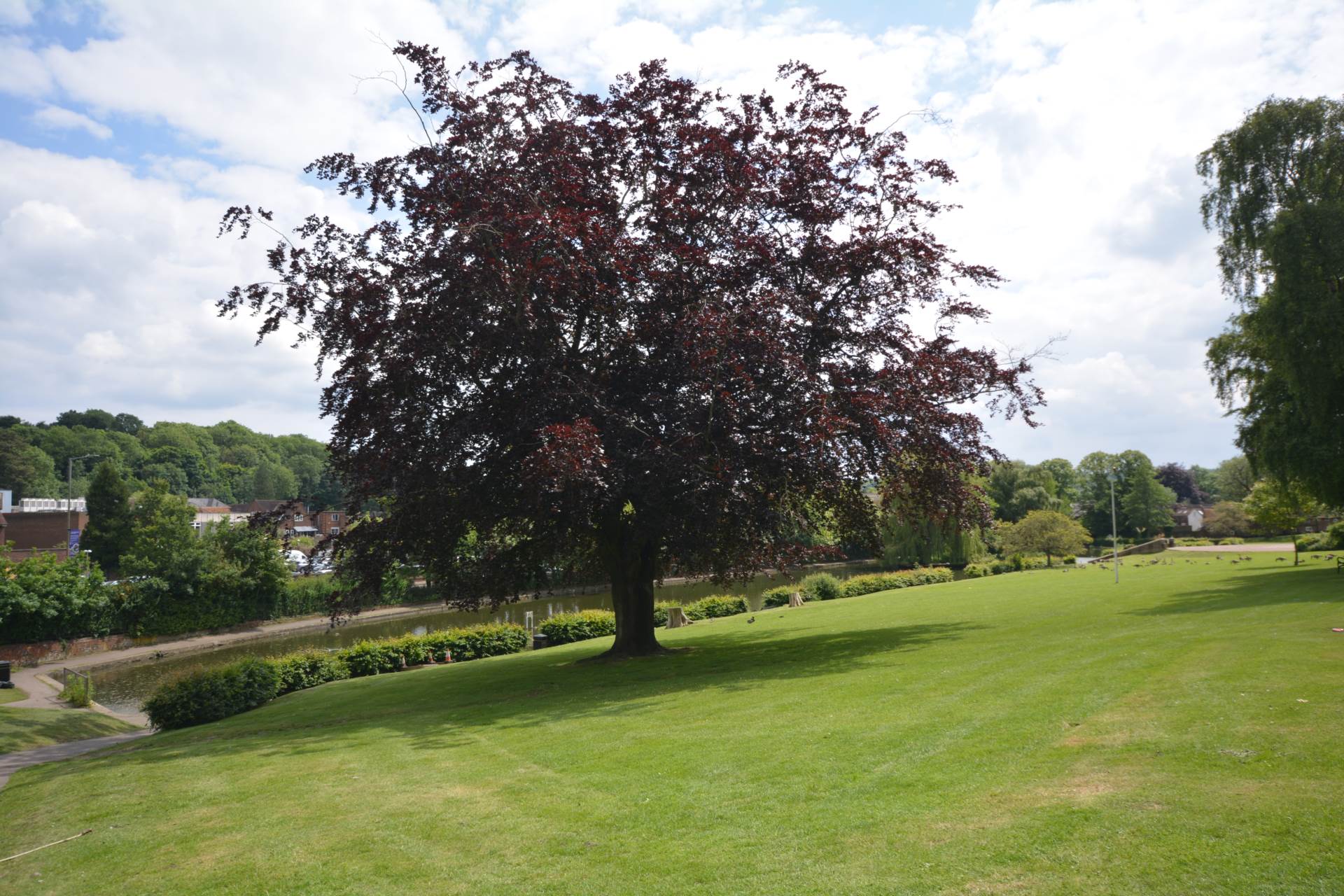 Additional Property Image 1 bedroom Apartment to rent in Chesham 9