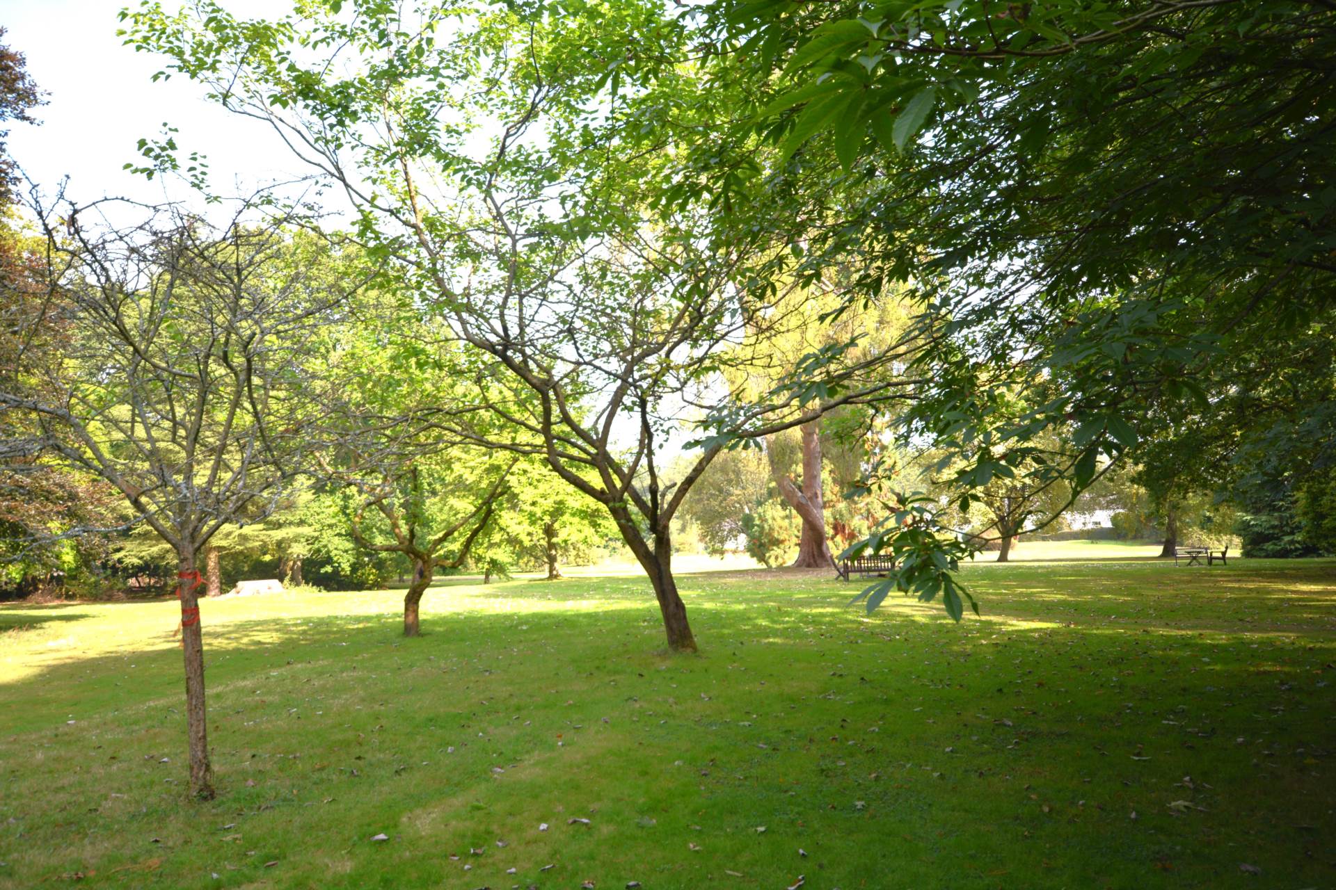 Additional Property Image 2 bedroom Apartment for sale in Amersham 16