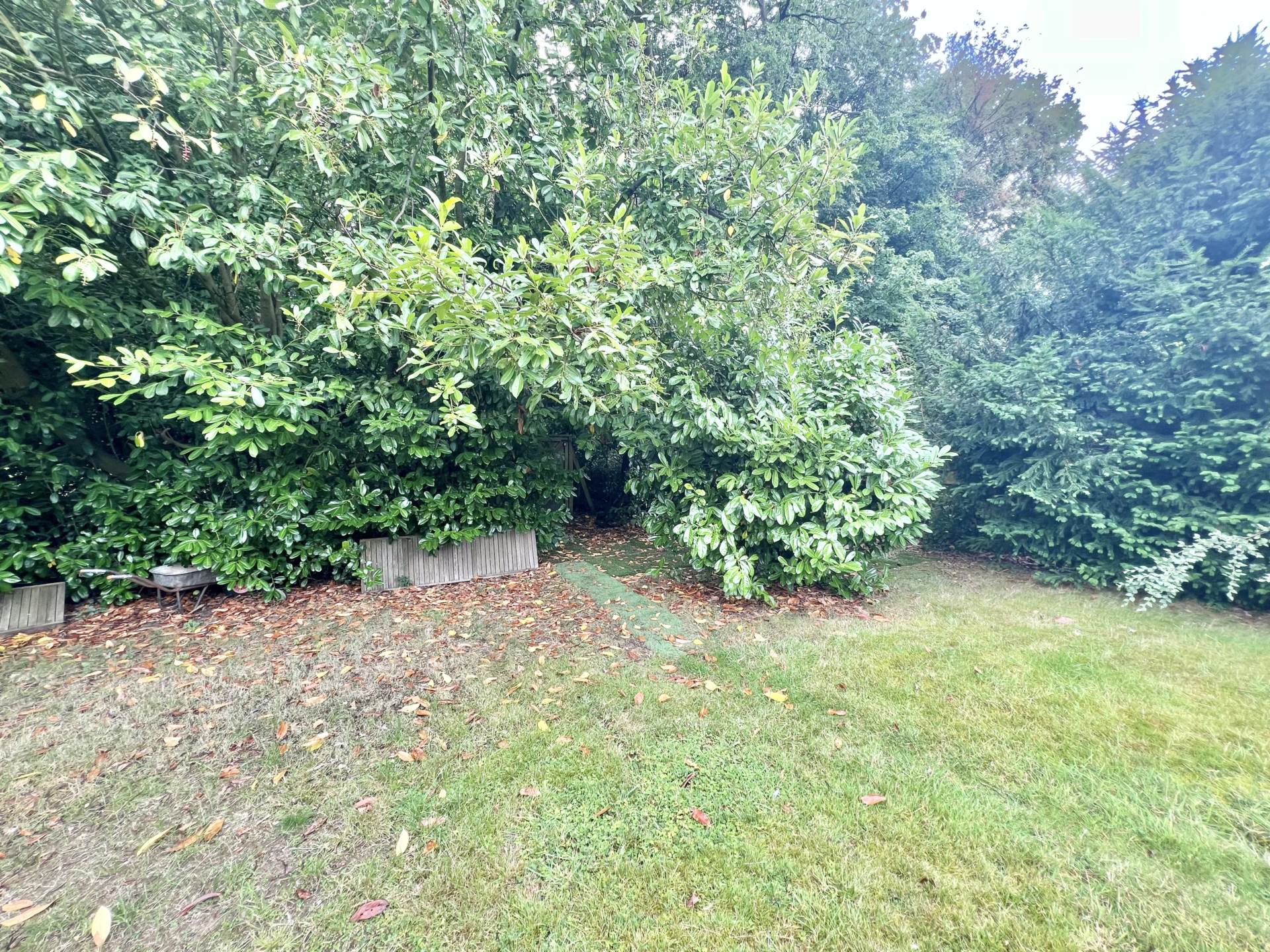 Additional Property Image 3 bedroom Semi Detached for sale in Brentwood 11
