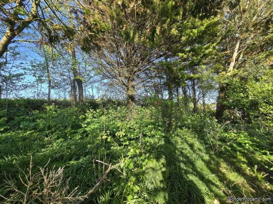 Additional Property Image 3 bedroom Detached Bungalow for sale in Bideford 5