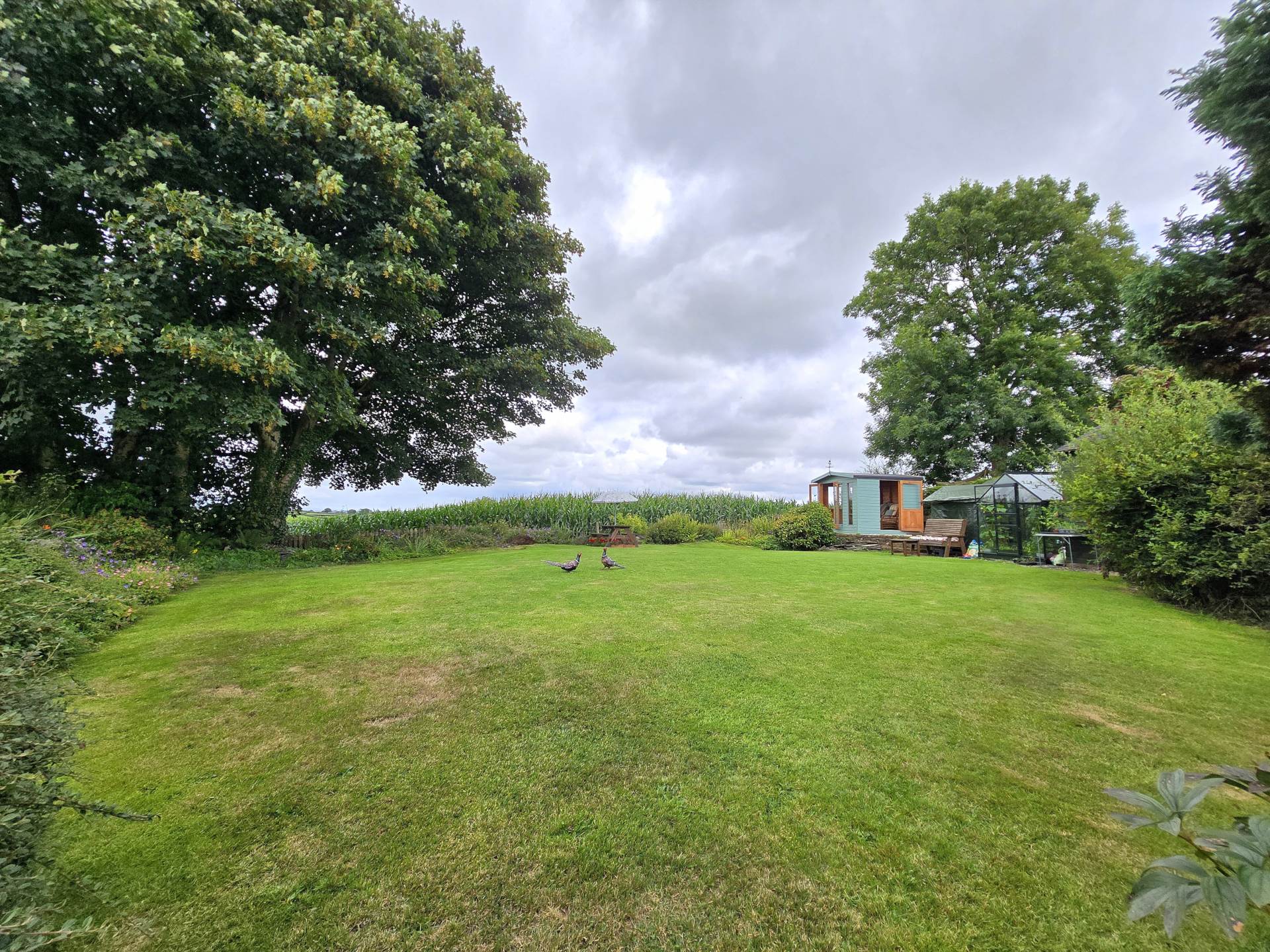Additional Property Image 4 bedroom Detached for sale in Torrington 2