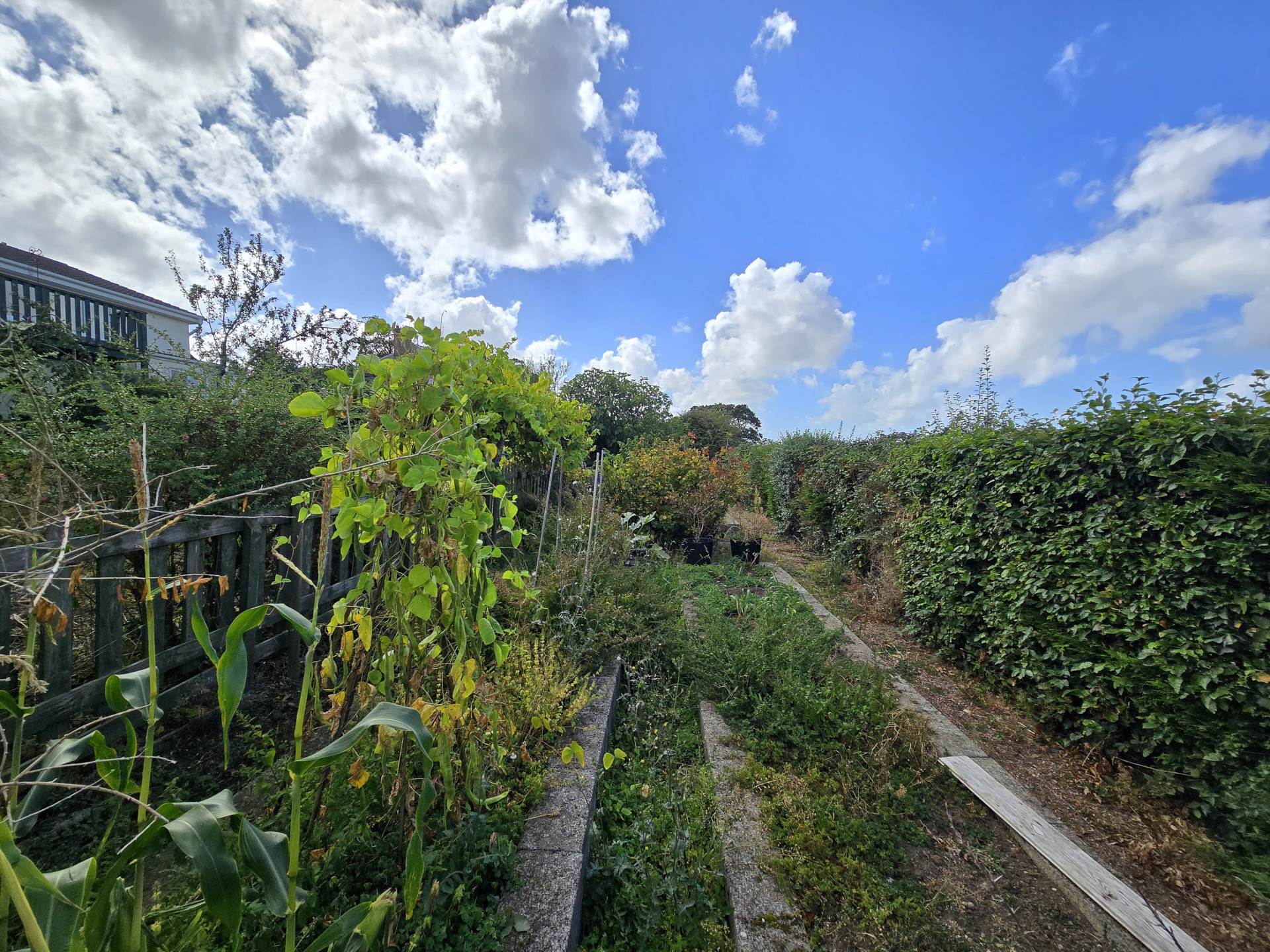 Additional Property Image 2 bedroom Bungalow for sale in Bideford 16
