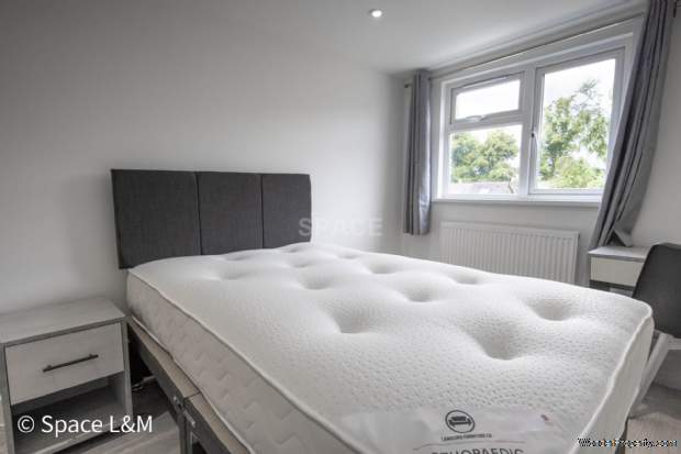 Additional Property Image 5 bedroom Terraced to rent in Reading 14