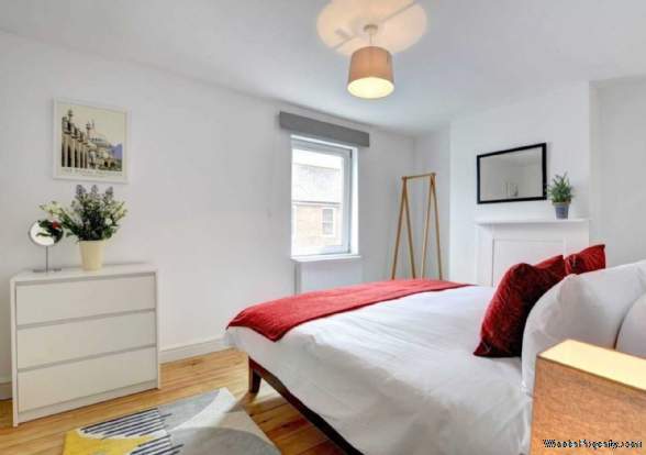 Additional Property Image 3 bedroom House to rent in Brighton 3
