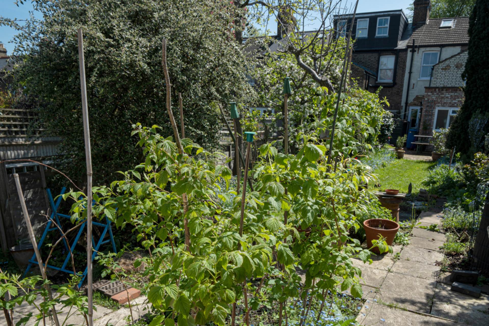 Additional Property Image 3 bedroom Terraced for sale in Brentford 12