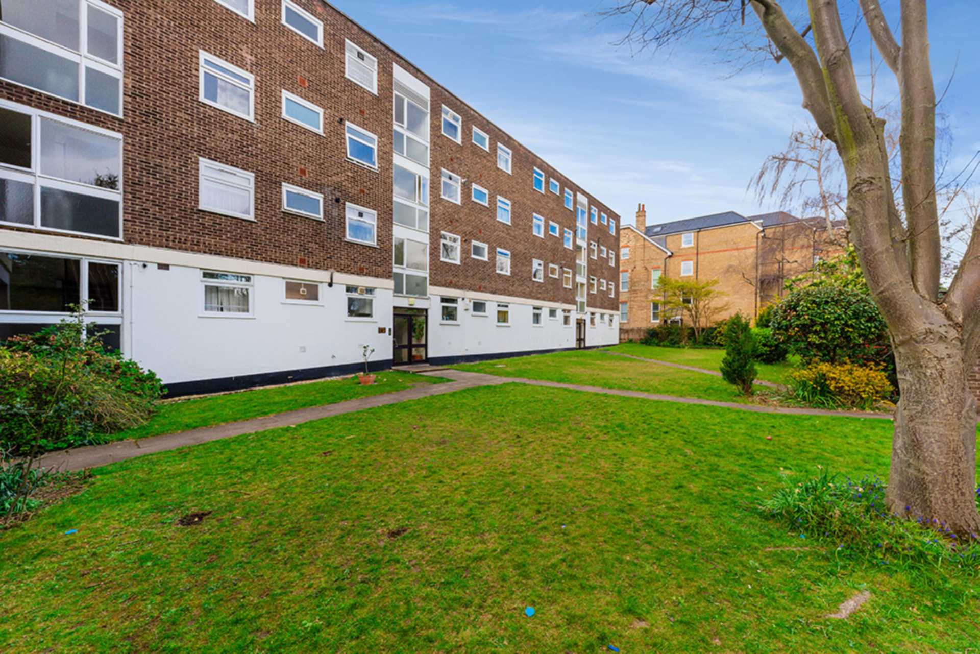 Additional Property Image 0 bedroom Studio to rent in London 6