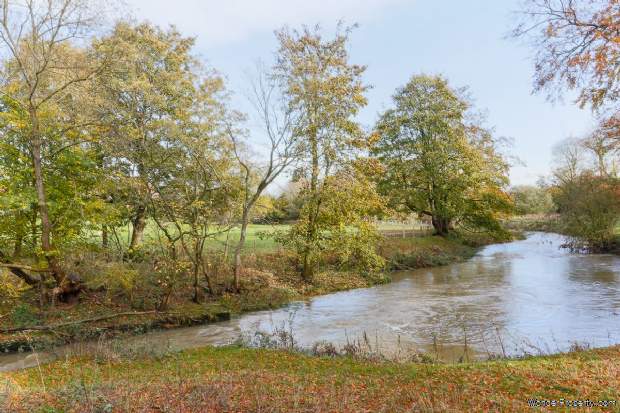 Additional Property Image 4 bedroom Detached for sale in Darlington 13