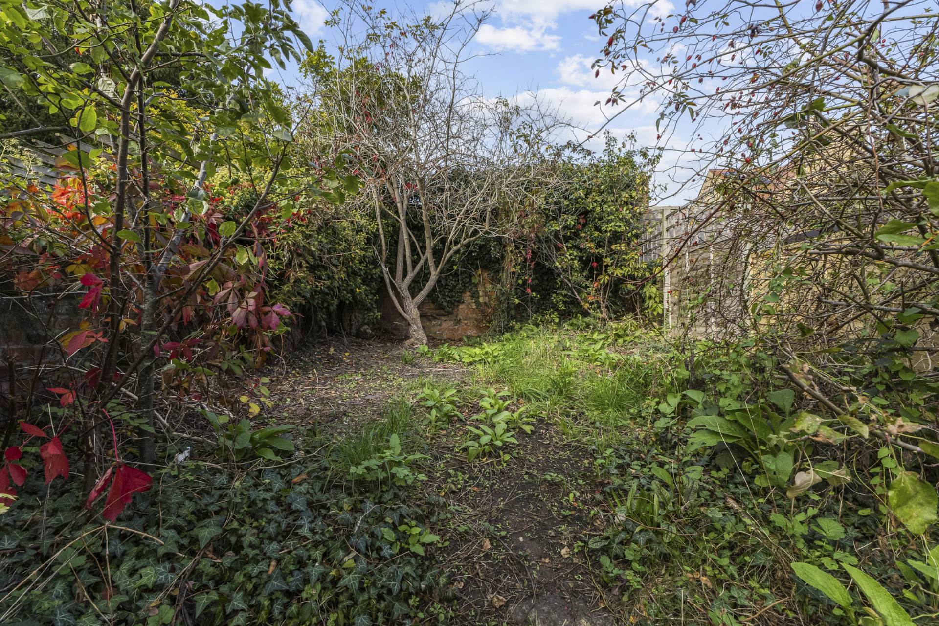 Additional Property Image 3 bedroom Terraced for sale in Oxford 19