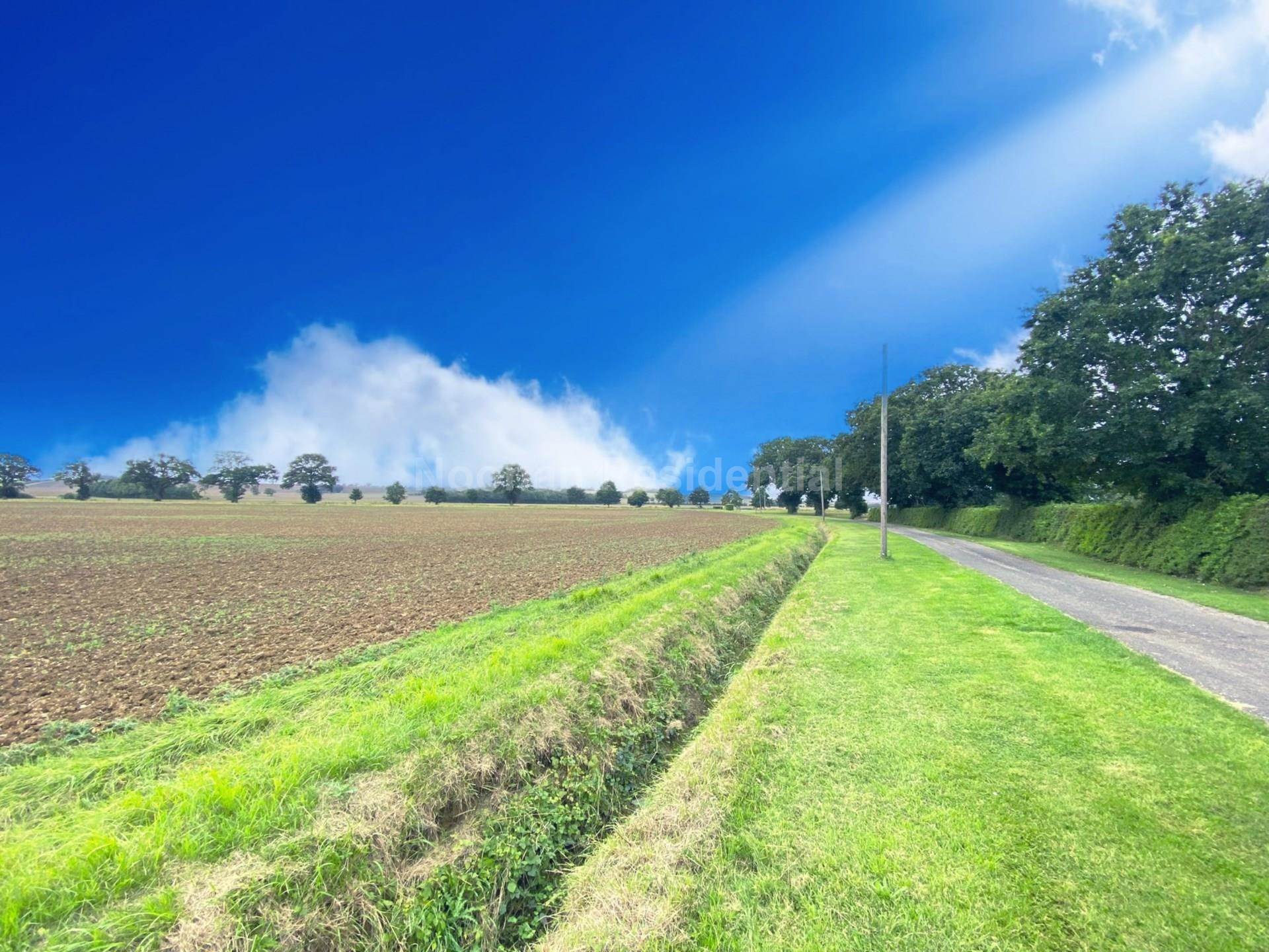 Additional Property Image 4 bedroom Detached to rent in Huntingdon 18