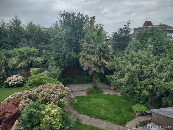 Additional Property Image 3 bedroom Semi Detached to rent in Cardiff 7