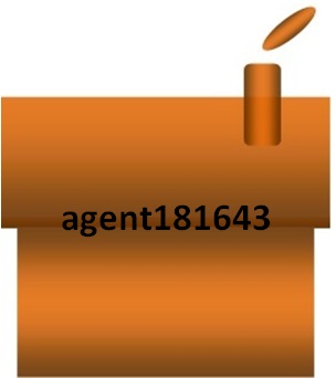 More details about Agent